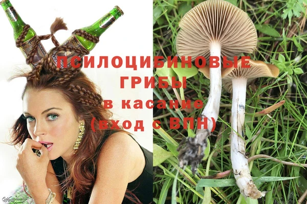 прущий лед Сосновка