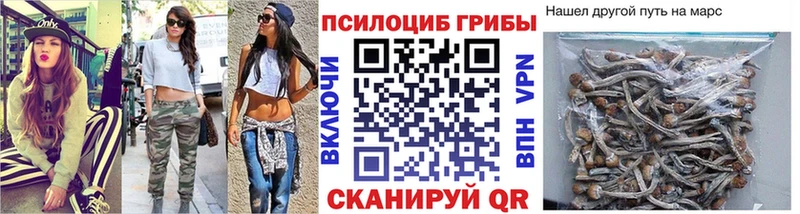 кракен как войти  Кущёвская  Псилоцибиновые грибы мухоморы  купить наркотики цена 